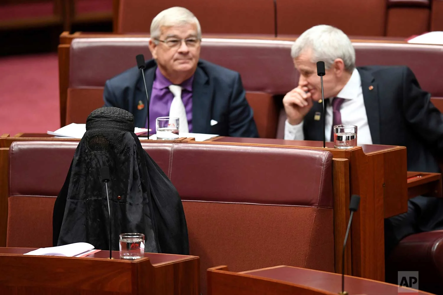 Sen. Pauline Hanson, bottom left, wears a burqa during question time in the Senate chamber at Parliament House in Canberra, Australia, Thursday, Aug. 17, 2017. (Lukas Coch/AAP Image via AP)