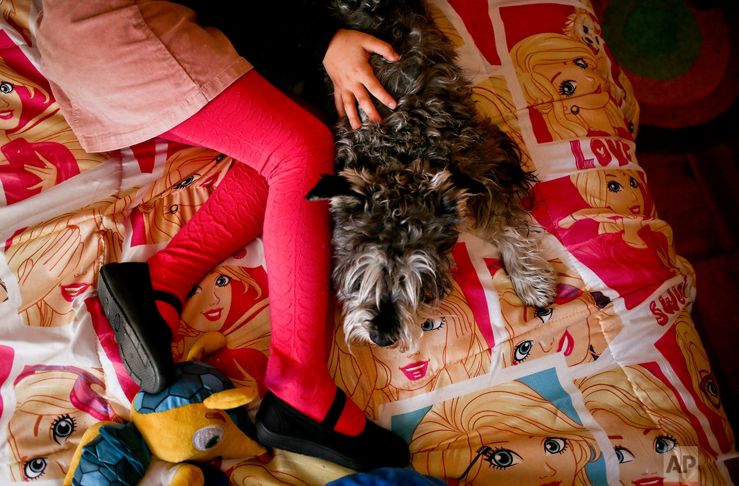  In this July 18, 2017 photo, transgender girl Luna plays with her dog Stark on her Barbie-themed bedspread at her home in Santiago, Chile. Last year a judge ordered officials at the civil registry to change the child’s name and gender on her birth c