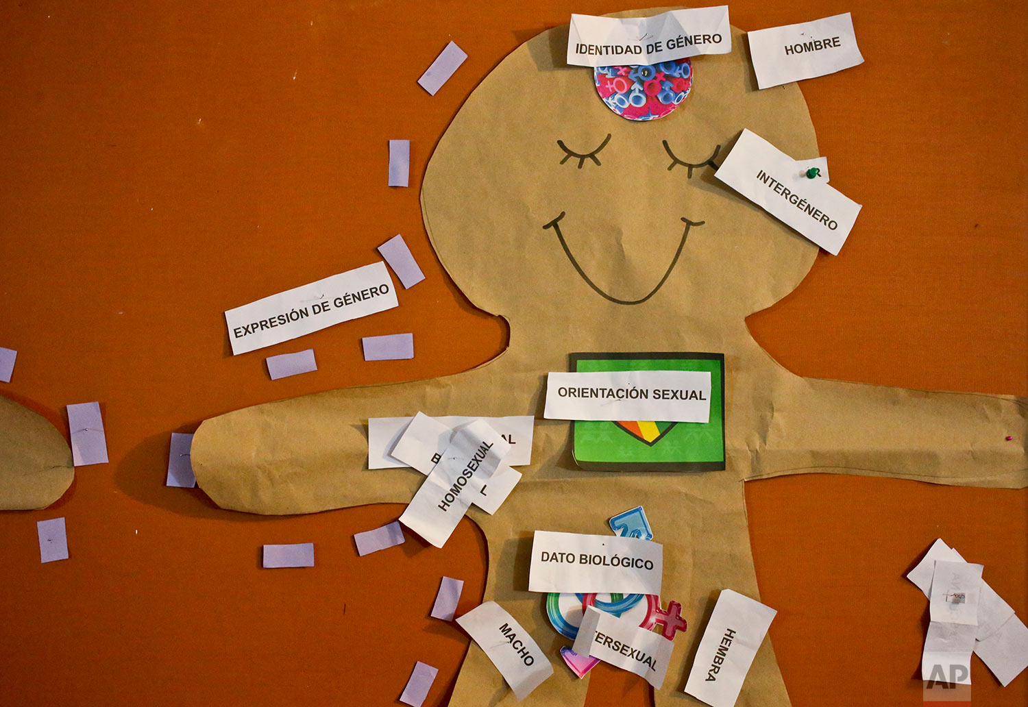  In this July 22, 2017 photo, gender identity vocabulary words are pinned to a paper cutout of a person during a children's workshop on gender identity at a community center in Santiago, Chile. Chile’s association of endocrinologists expressed suppor