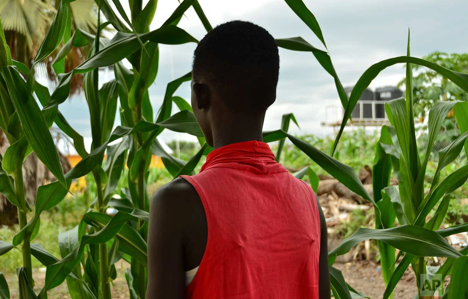 In this photo taken Sunday, July 30, 2017, Eliza, 17, who at age 13 was forced by her father to marry a 35-year-old man from their village in exchange for 50 cattle, stands next to crops in a courtyard in the town of Rumbek, South Sudan. (AP Photo/Mariah Quesada)