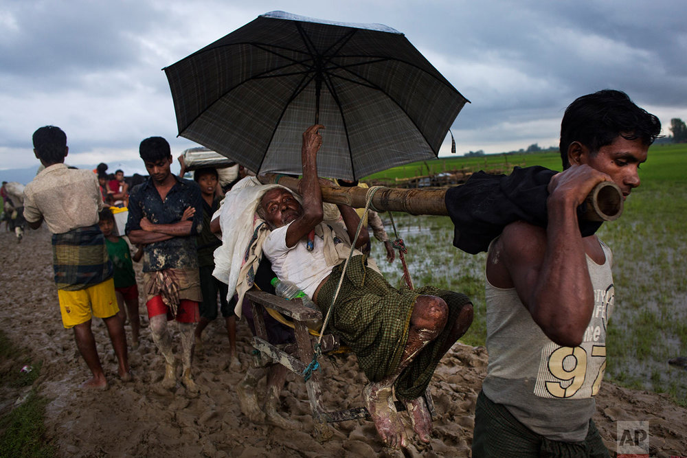  Ethnic Rohingya carry an elderly man and walk through rice fields after crossing over to the Bangladesh side of the border near Cox's Bazar's Teknaf area, Friday, Sept. 1, 2017. Myanmar's military says almost 400 people have died in recent violence 