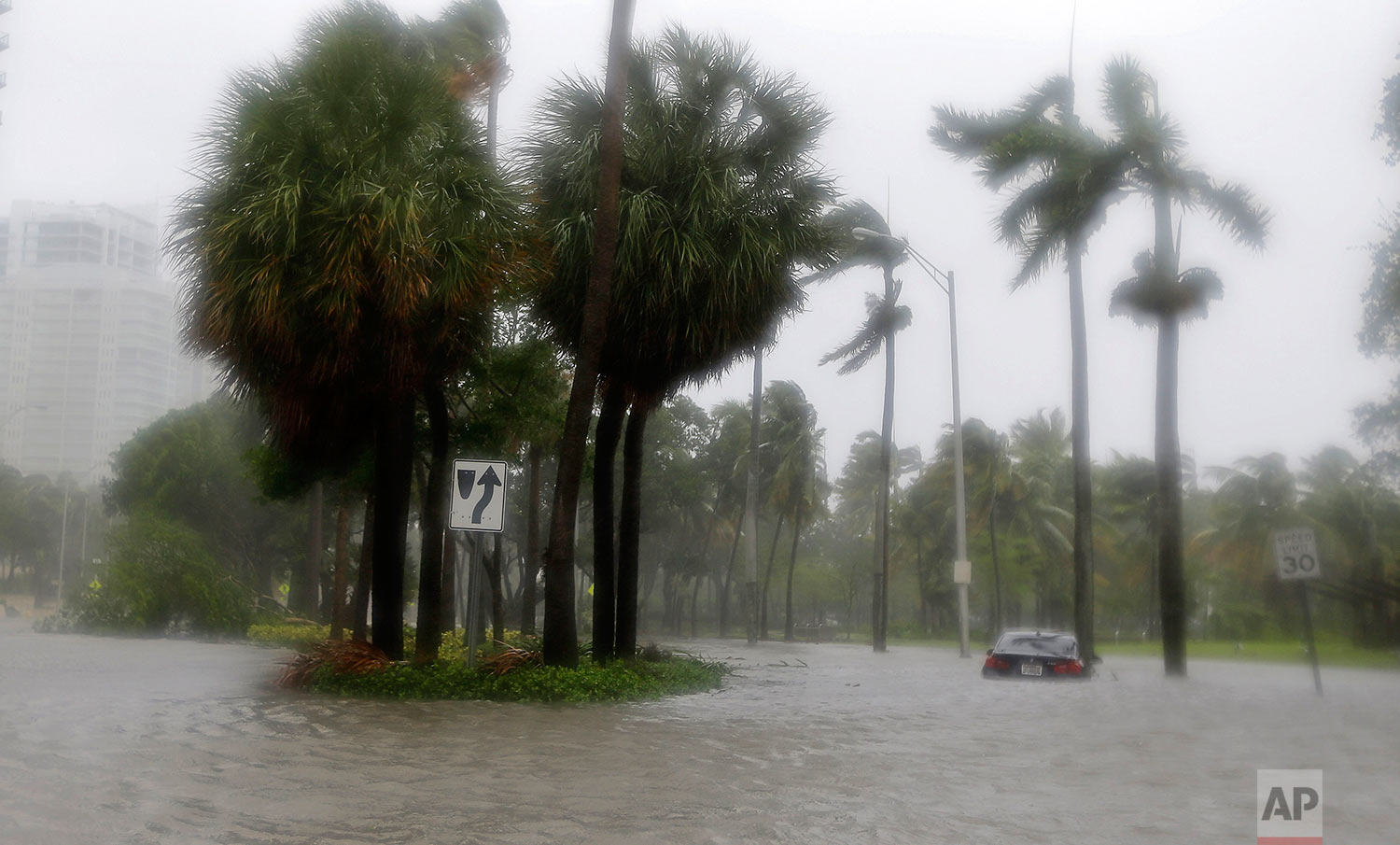  Heavy rains flood the streets in the Coconut Grove area in Miami on Sunday, Sept. 10, 2017, during Hurricane Irma. (AP Photo/Alan Diaz) 