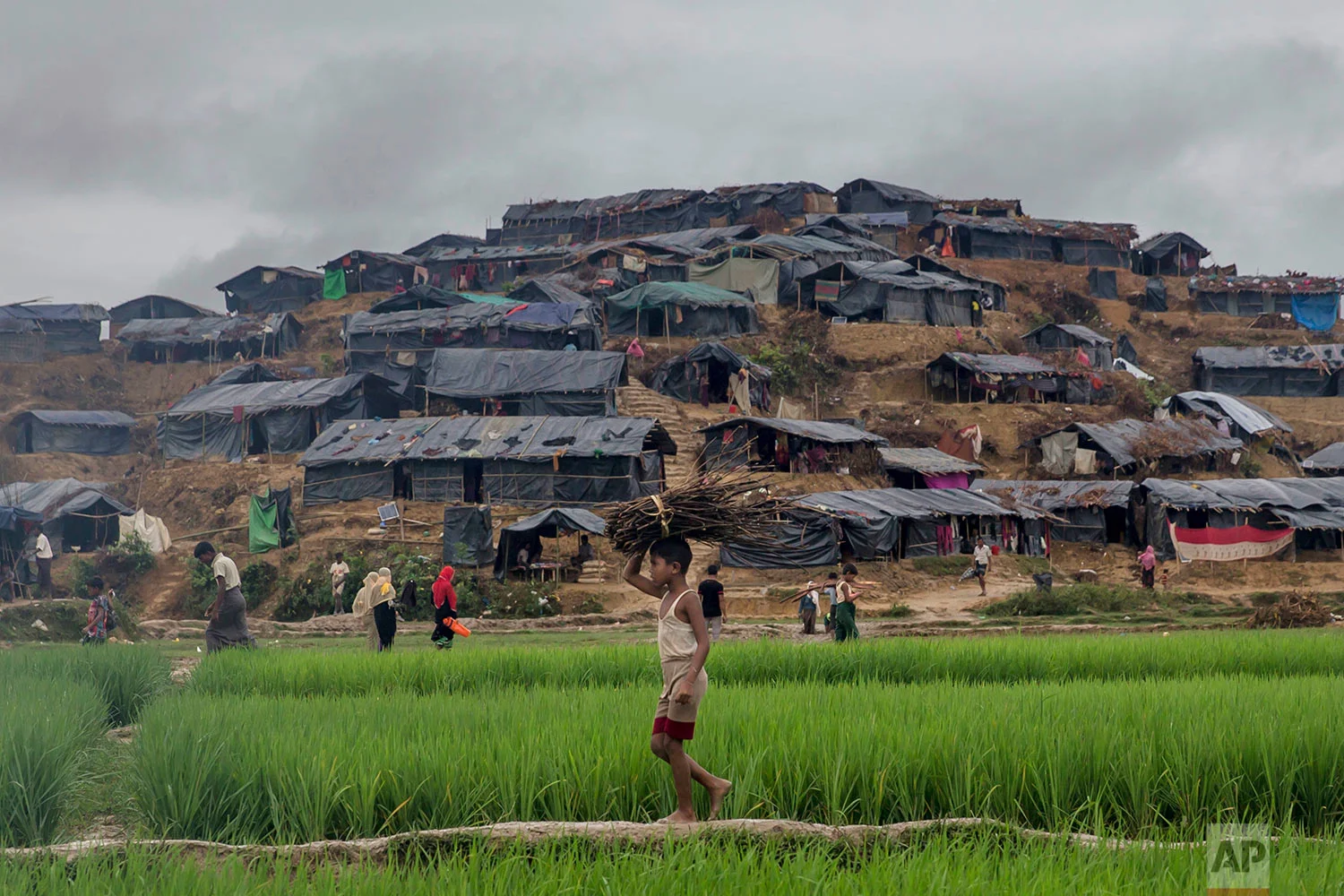 Bangladesh Myanmar Attacks