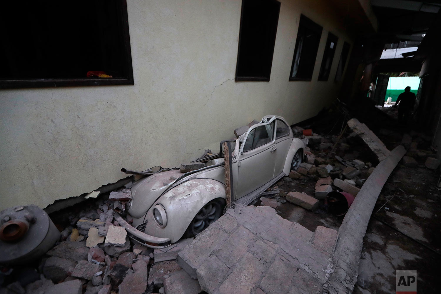 Mexico Earthquake 