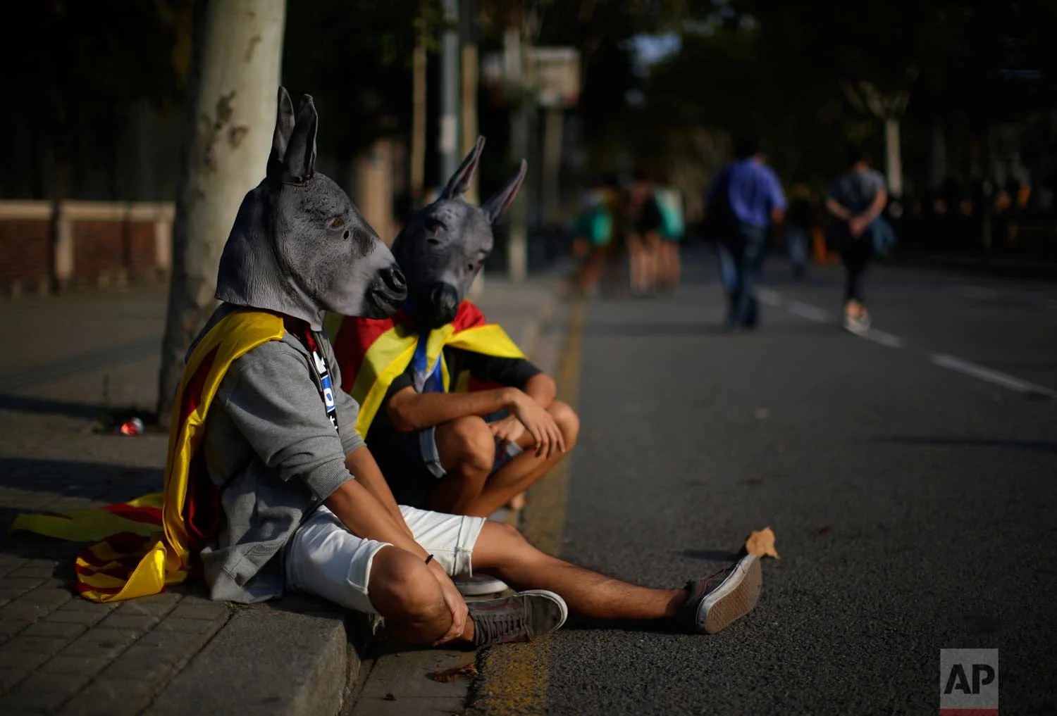 In this photo taken on Thursday, Sept. 21, 2017, two men dressed in donkey masks and wrapped in "estelada" or pro independence flags, rest during a protest in Barcelona, Spain. (AP Photo/Manu Fernandez)