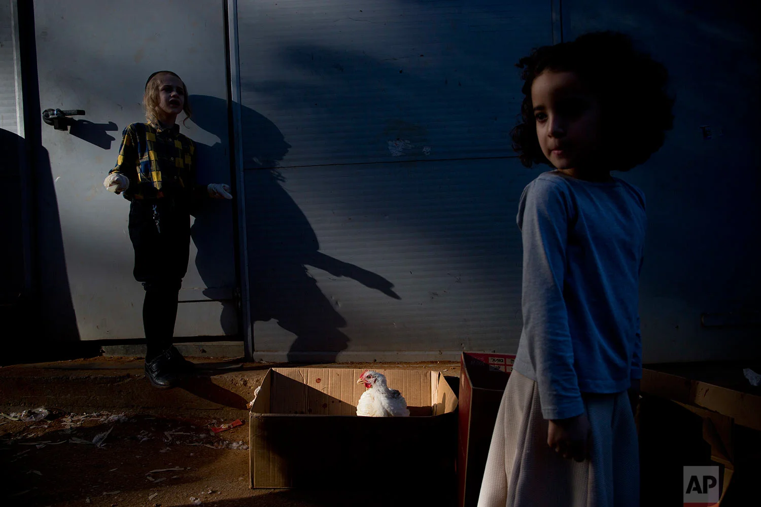An ultra-Orthodox Jewish youth stands next to his chicken during the Kaparot ritual in Bnei Brak, Israel, Thursday, Sept. 28, 2017. (AP Photo/Oded Balilty)