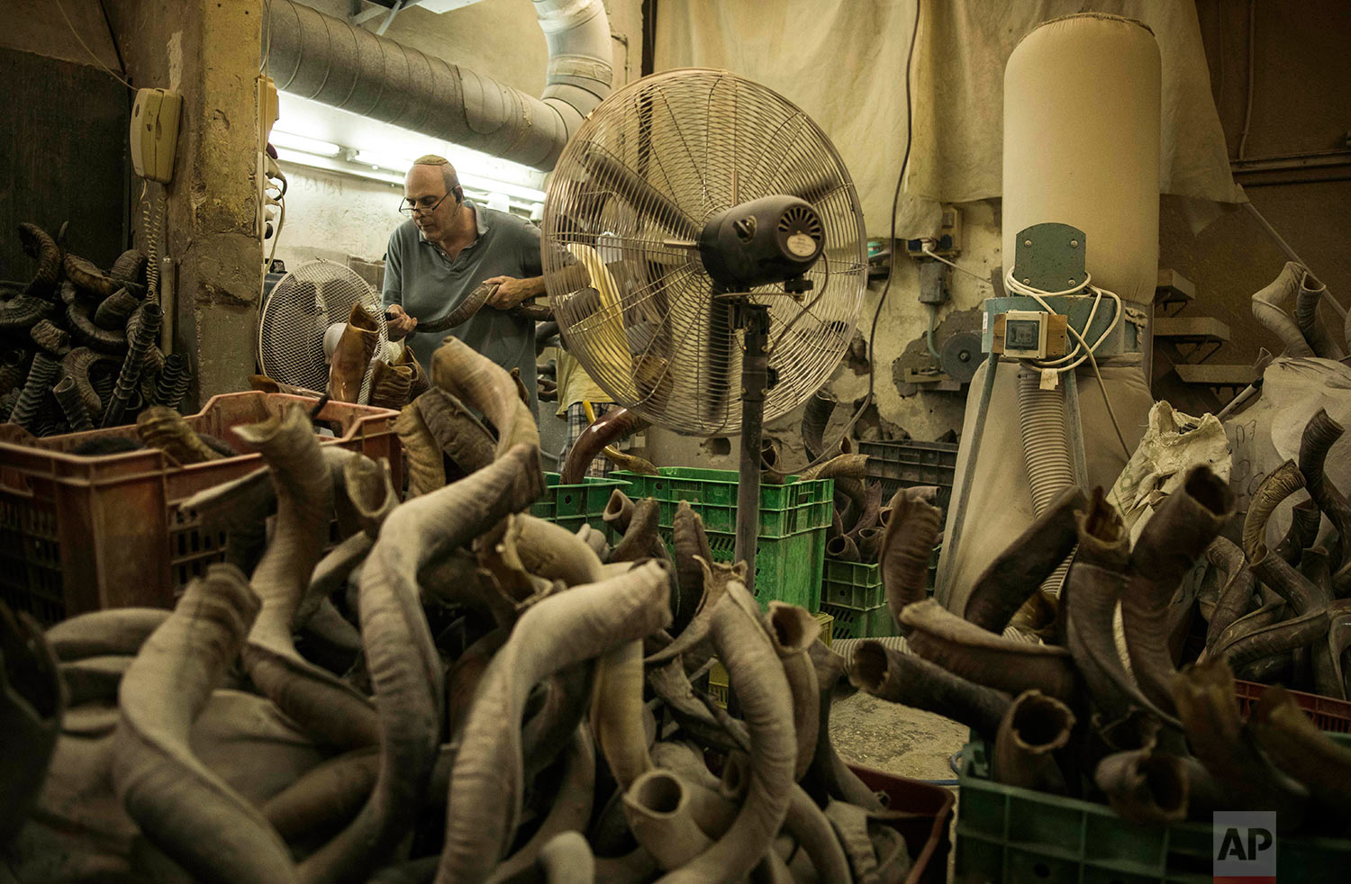  A man works on a shofar in Bar-Sheshet Ribak Shofarot Israel company in Tel Aviv, Israel, Tuesday, Sept. 19, 2017. Shofar, an instrument made of animals horns, is blown for religious purposes during Rosh Hoshana and Yom Kipur Jewish holidays. (AP Ph