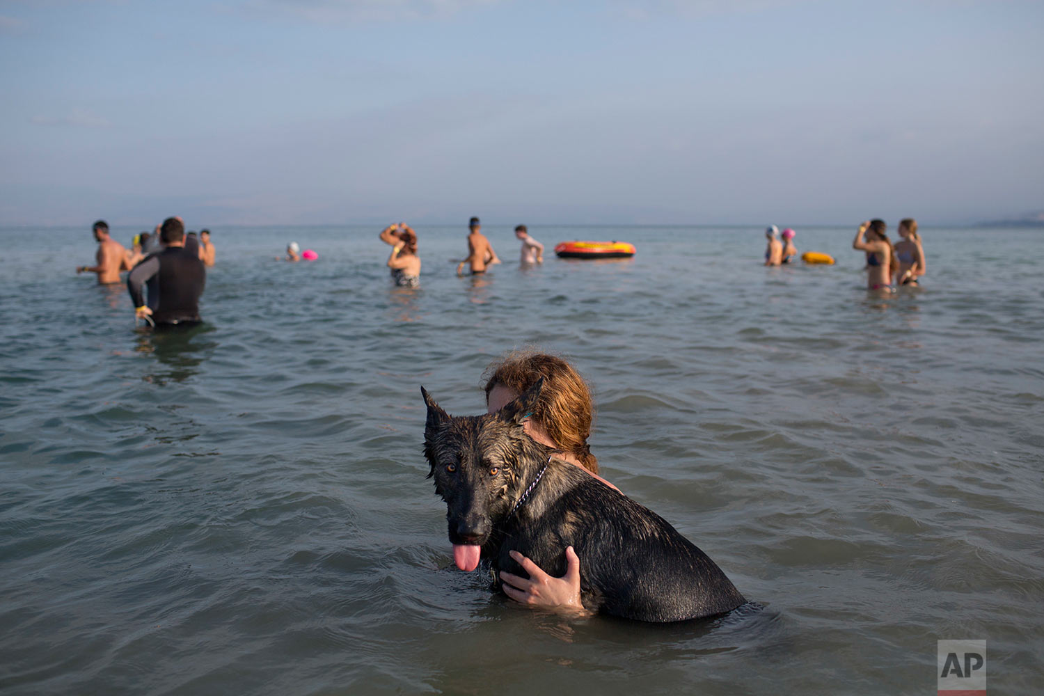A dog joins swimmers participate in the annual Sea of Galilee swim, the oldest and largest popular swimming event, near Tiberias, northern Israel, Saturday, Sept. 16, 2017. (AP Photo/Oded Balilty)