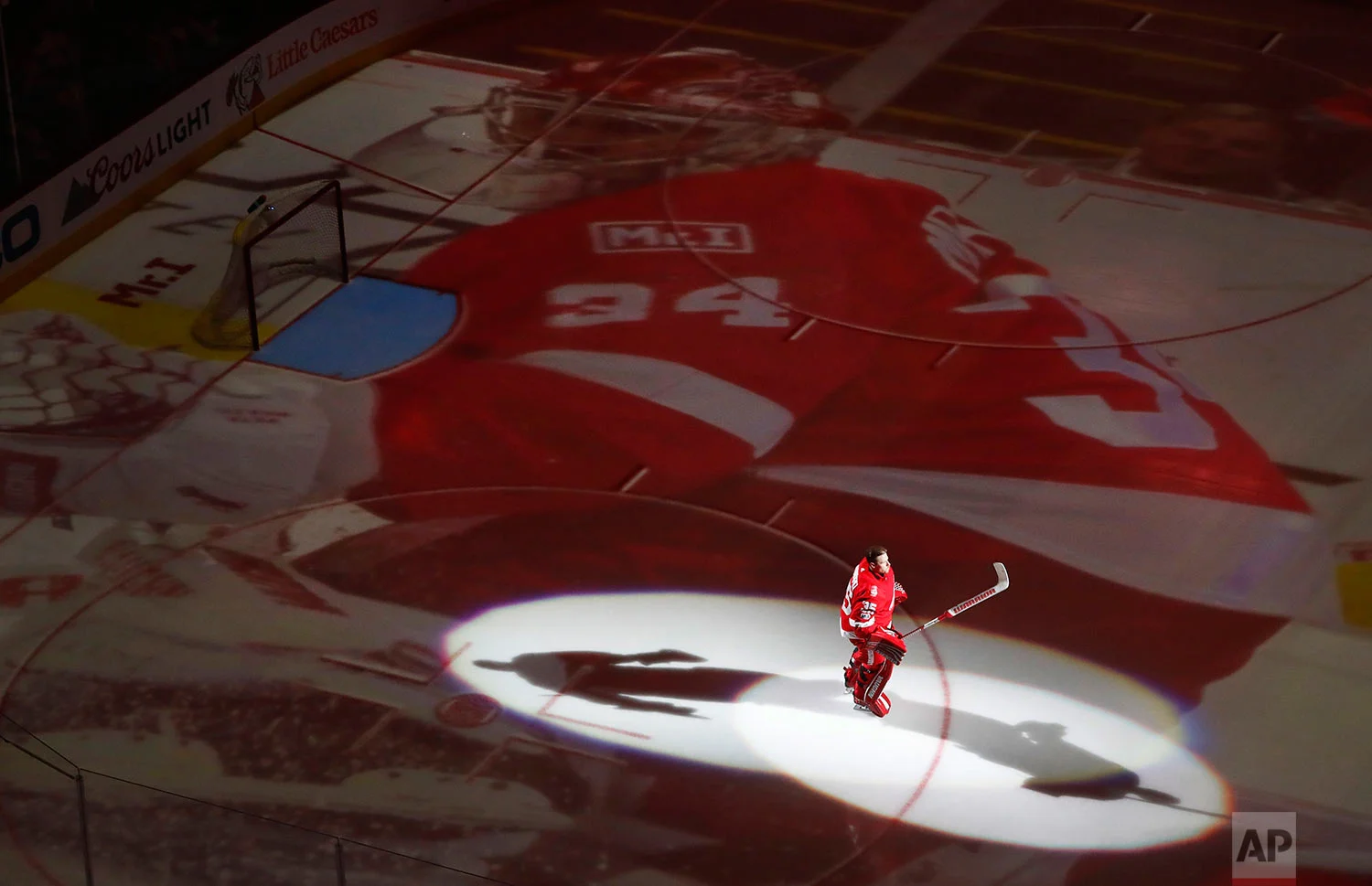 Wild Red Wings Hockey