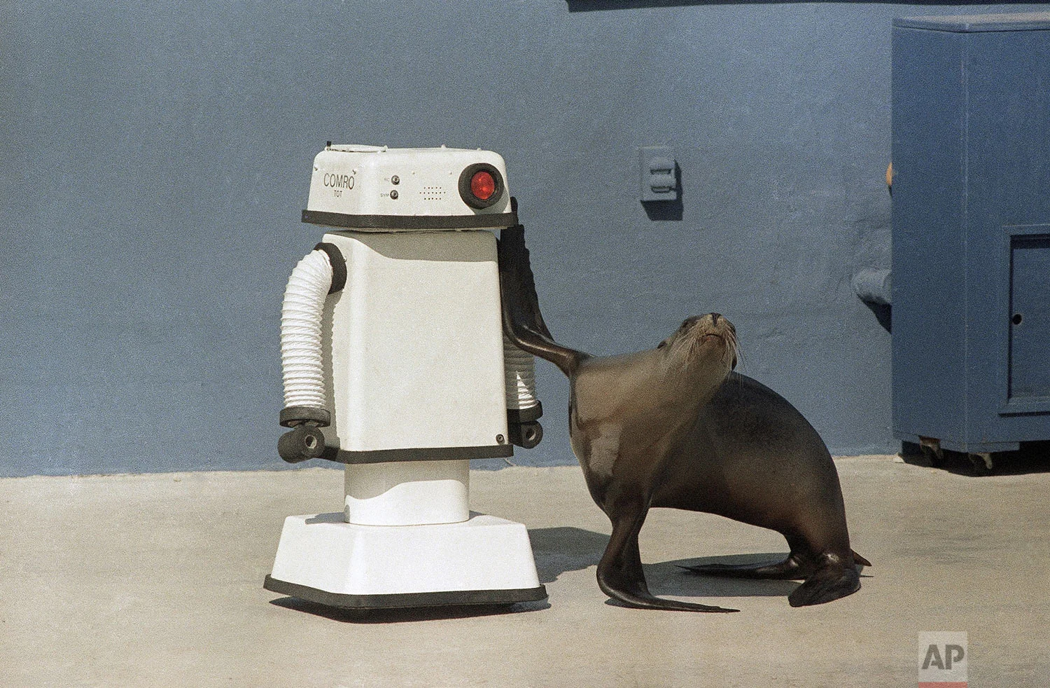 Robot & Seal | Oct. 16, 1984