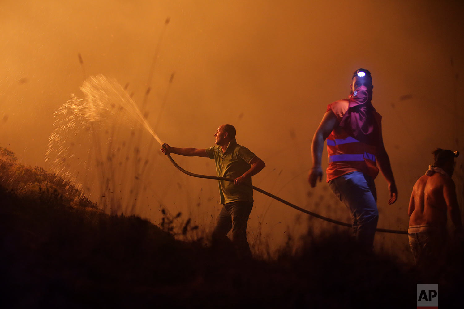 Portugal Forest Fires