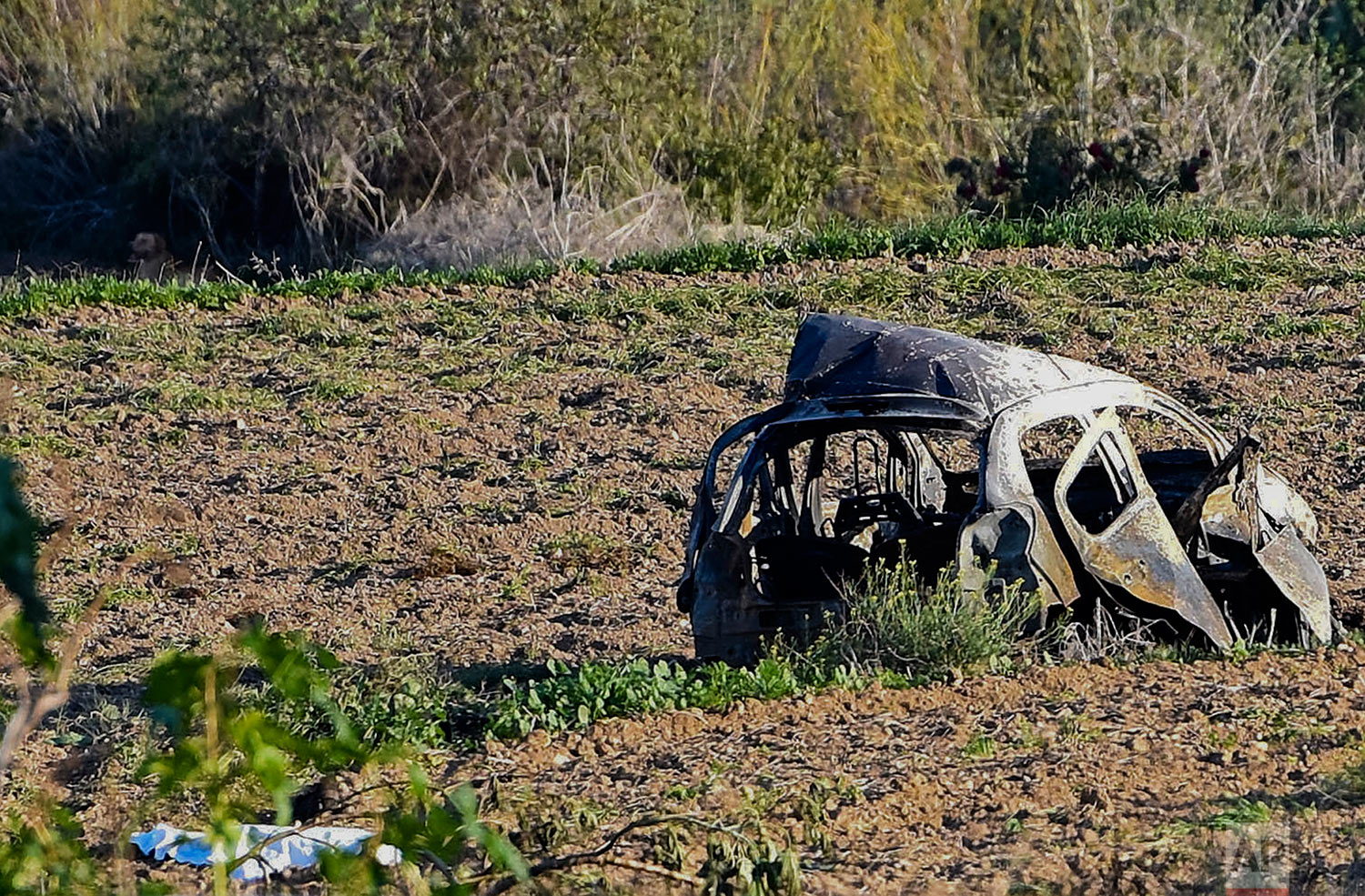 Malta Journalist Killed