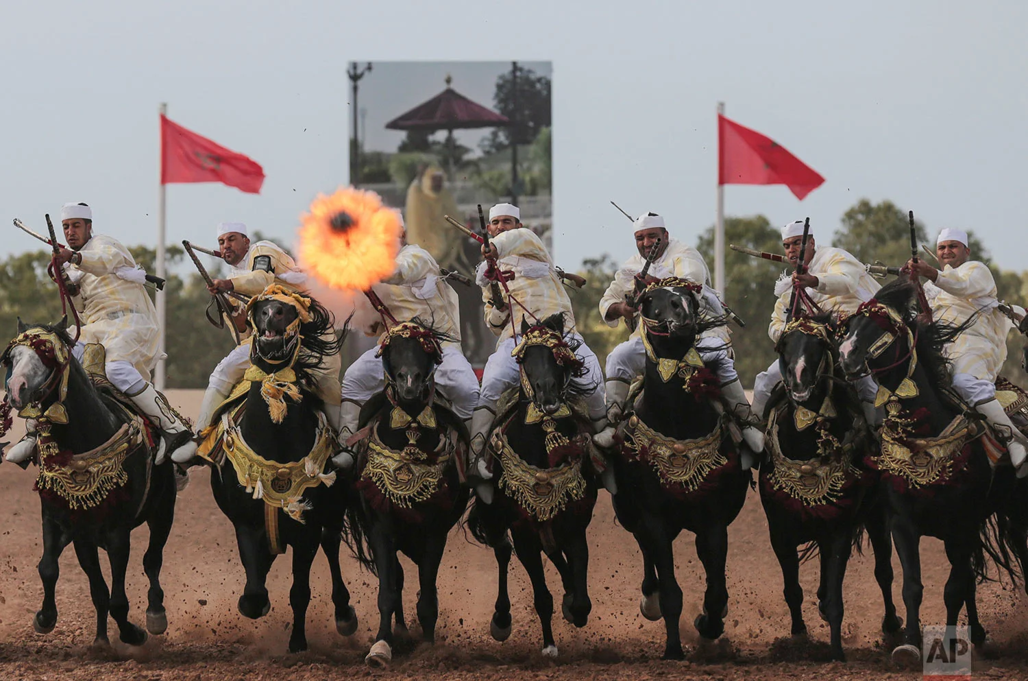 Morocco Horsemanship Competition