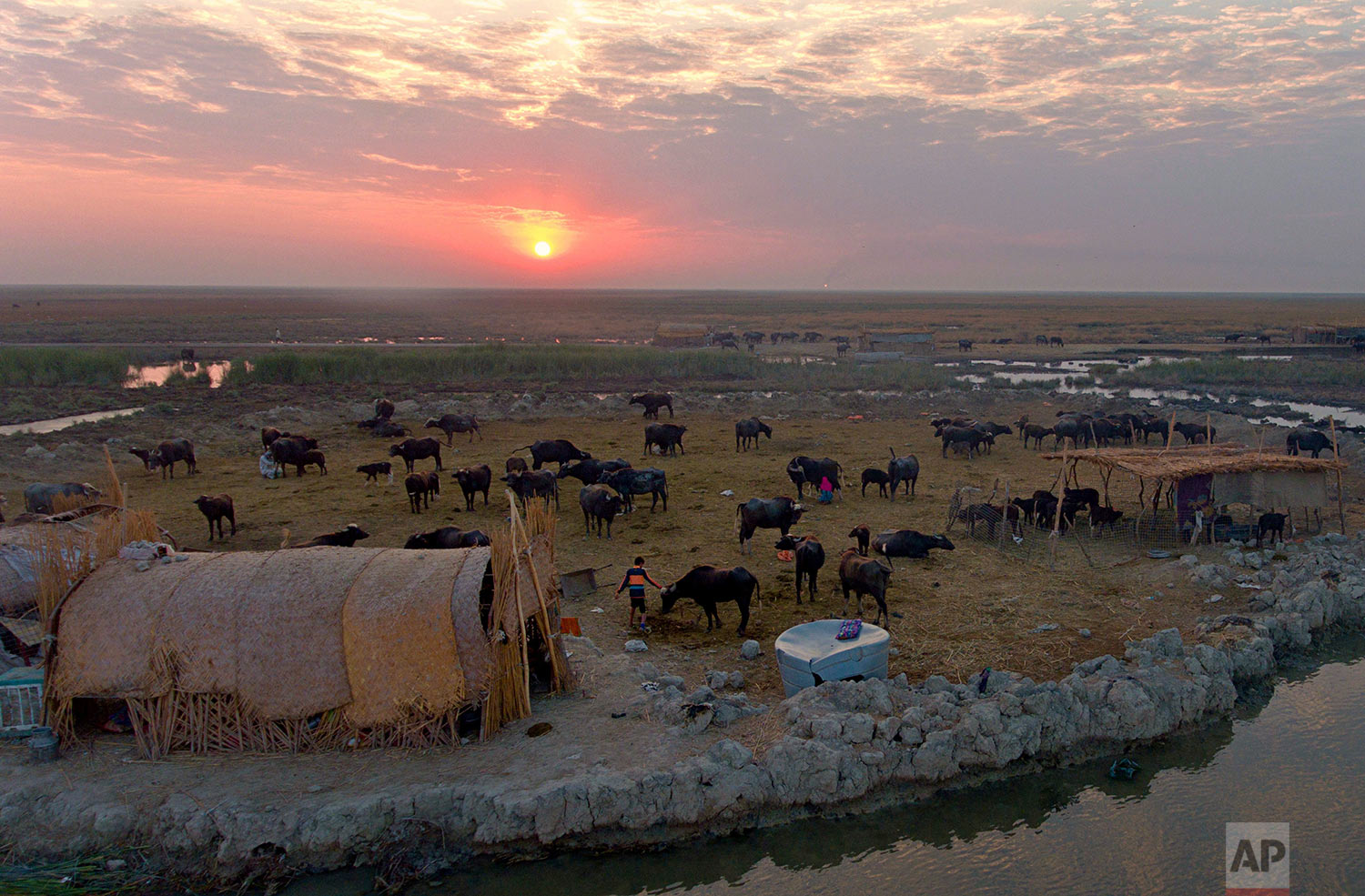 In this Monday, Sept. 11, 2017 photo, the sun sets over an island paddock for water buffalo in the Chabaish marsh in Nasiriyah, about 200 miles (320 kilometers) southeast of Baghdad, Iraq. Iraq’s southern marshes, a lush remnant of the cradle of civilization, were reborn after the 2003 fall of Saddam Hussein when residents dismantled dams he had built a decade earlier to drain the area in order to root out Shiite rebels. But now the largest wetlands in the Middle East are imperiled again, by government mismanagement and new upstream projects.(AP Photo/Nabil al-Jurani)