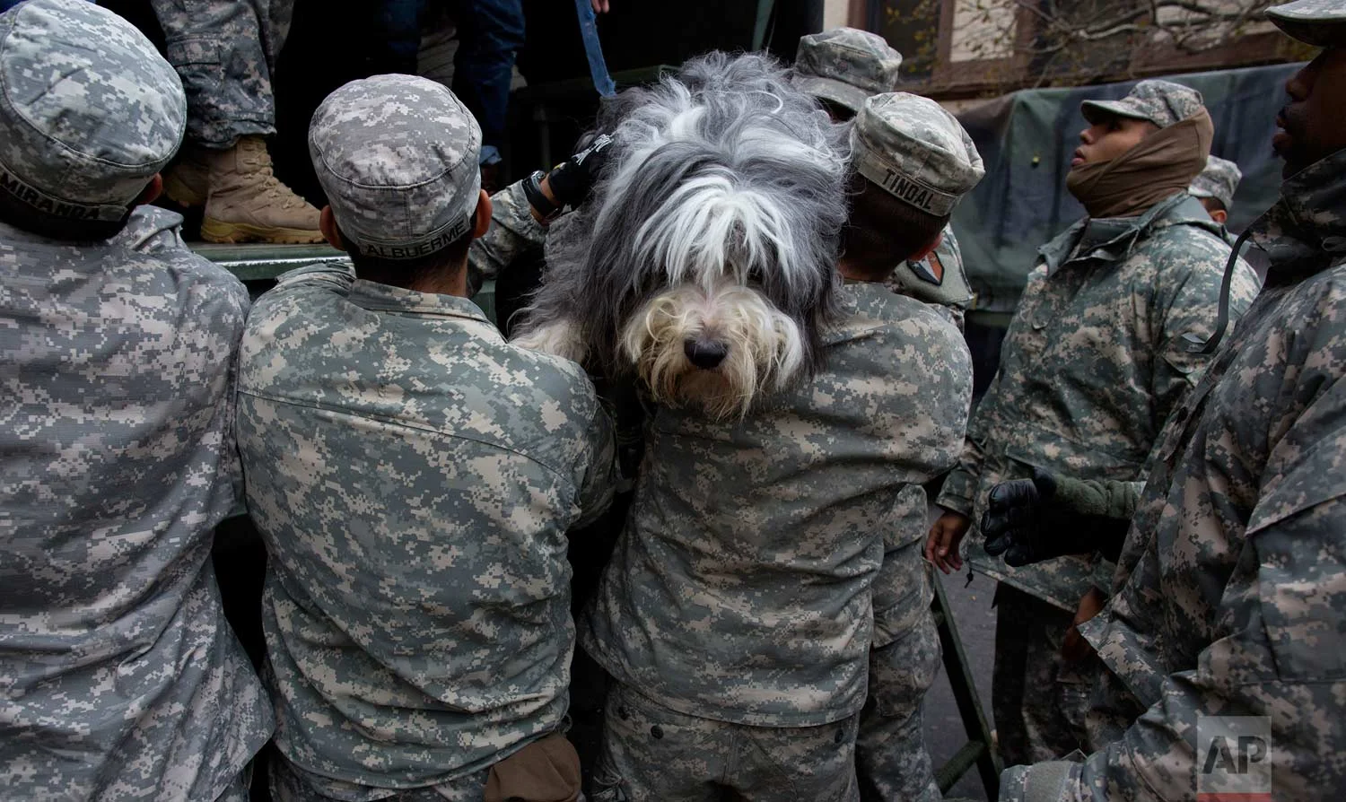 A dog named Shaggy is handed from a National Guard truck to National Guard personnel after the dog and his owner left a flooded building in Hoboken, N.J., Wednesday, Oct. 31, 2012, in the wake of superstorm Sandy. Some residents and pets are being plucked from their homes by large trucks as parts of the city are still covered in standing water. (AP Photo/Craig Ruttle)