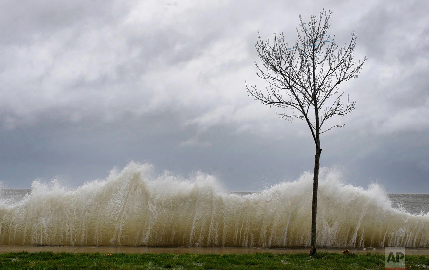 Storm surge hits a small tree as winds from Hurricane Sandy reach Seaside Park in Bridgeport, Conn., Monday, Oct. 29, 2012. Water from Long Island Sound spilled into roadways and towns along the Connecticut shoreline Monday, the first signs of flooding from a storm that threatens to deliver a devastating surge of seawater. (AP Photo/Jessica Hill)