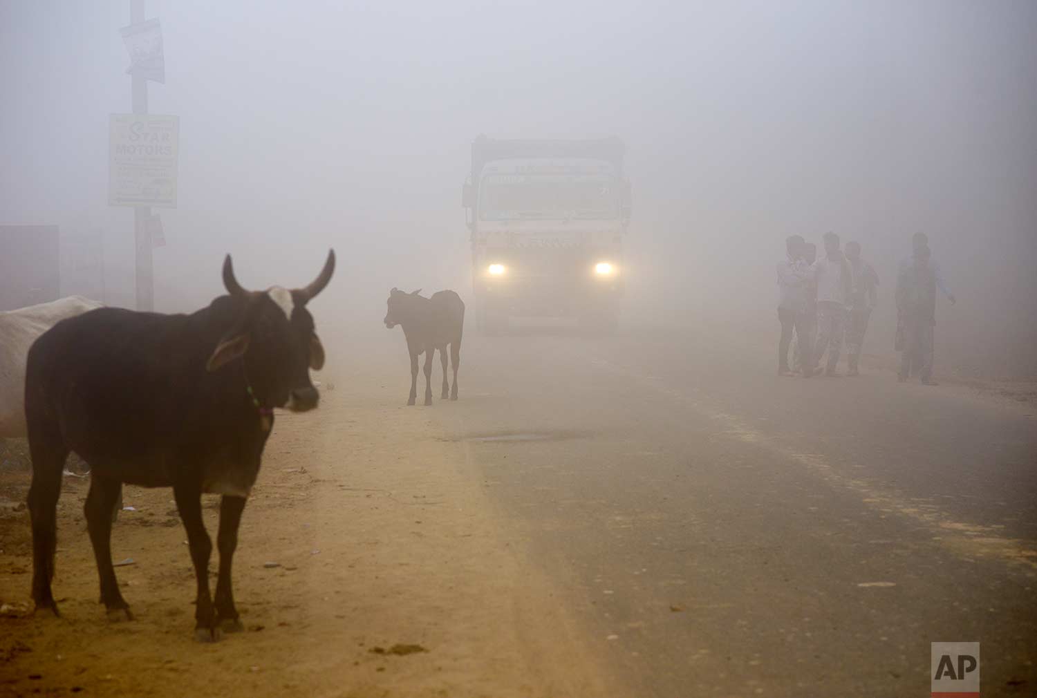Cows stand by the side of a road as a truck drives with lights on through smog in Greater Noida, near New Delhi, India, Wednesday, Nov. 8, 2017. (AP Photo/R S Iyer)