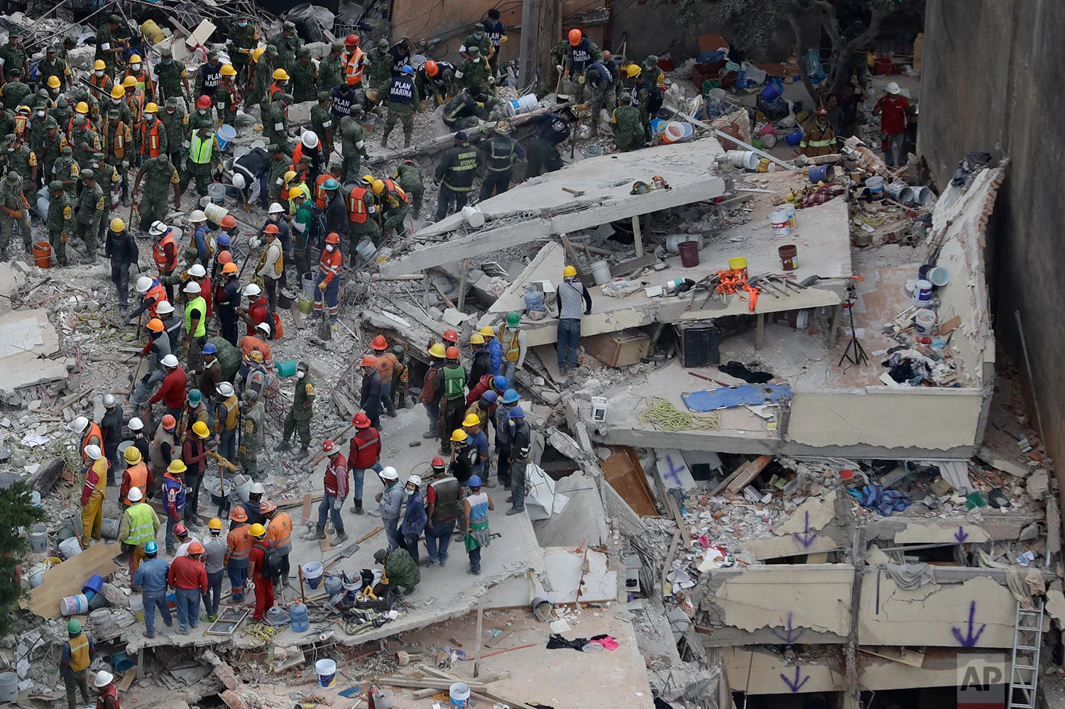 Mexico Earthquake
