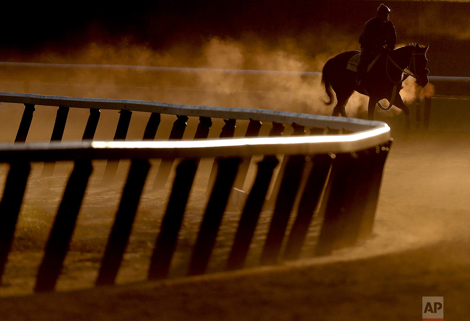 Belmont Stakes Horse Racing