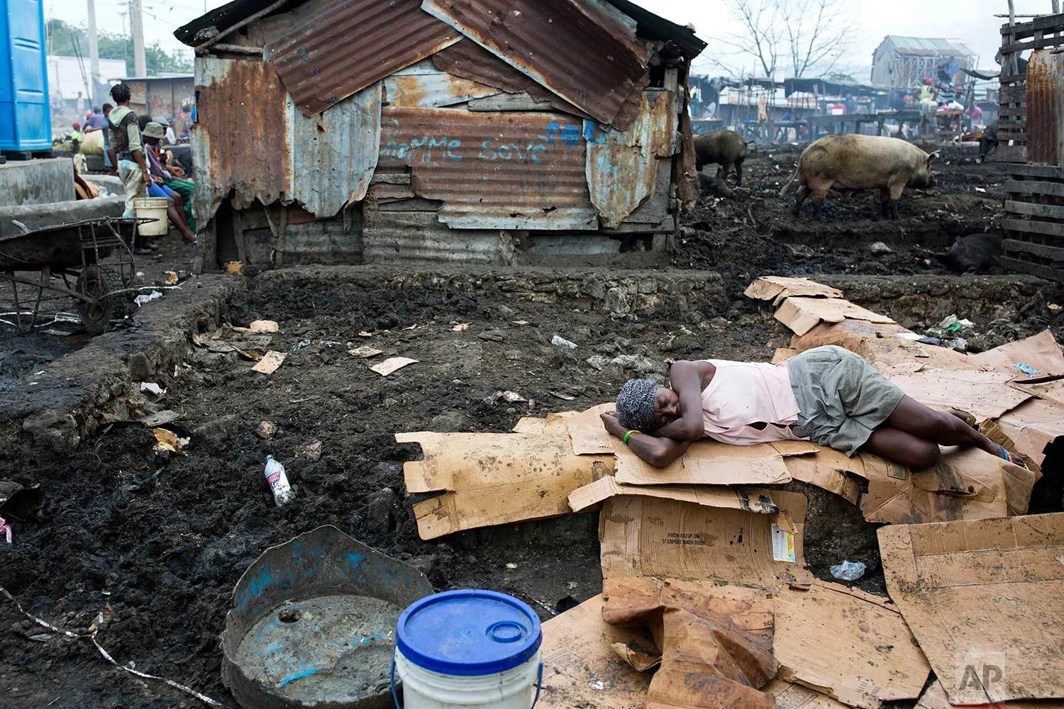 In this Nov. 14, 2017 photo, a vendor takes a catnap on a layer of disassembled cardboard boxes at the La Saline slaughterhouse in Port-au-Prince, Haiti. The more than 100 people who work at the open-air market find it a constant struggle to make ends meet in the face of unhygienic conditions, poor regulation and even deadly violence. (AP Photo/Dieu Nalio Chery)