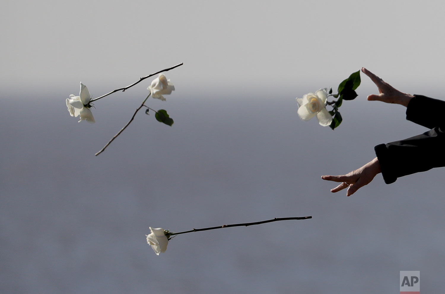 Chile's President Michelle Bachelet throws a flower into the river during a visit to Memory Park which honors the victims of the country's dictatorship in Buenos Aires, Argentina, Thursday, July 20, 2017. Argentina’s so-called “dirty war” during the 1976-1983 military dictatorship still haunts Argentines four decades after the end of state-sponsored violence against leftists. (AP Photo/Natacha Pisarenko)