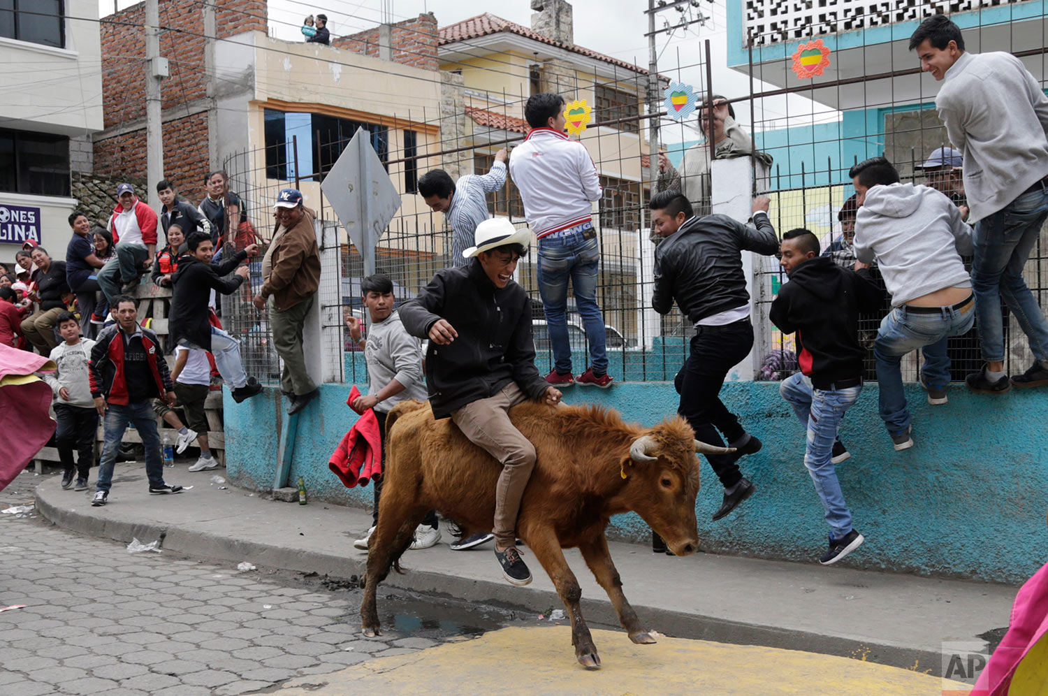 A man rides a bull during a running of the bulls event coined "Pamplonada Pillarense" in Pillaro, Ecuador, Saturday, Aug. 5, 2017. The small Andean city sets loose about 40 bulls during the town's annual fair. (AP Photo/Dolores Ochoa)