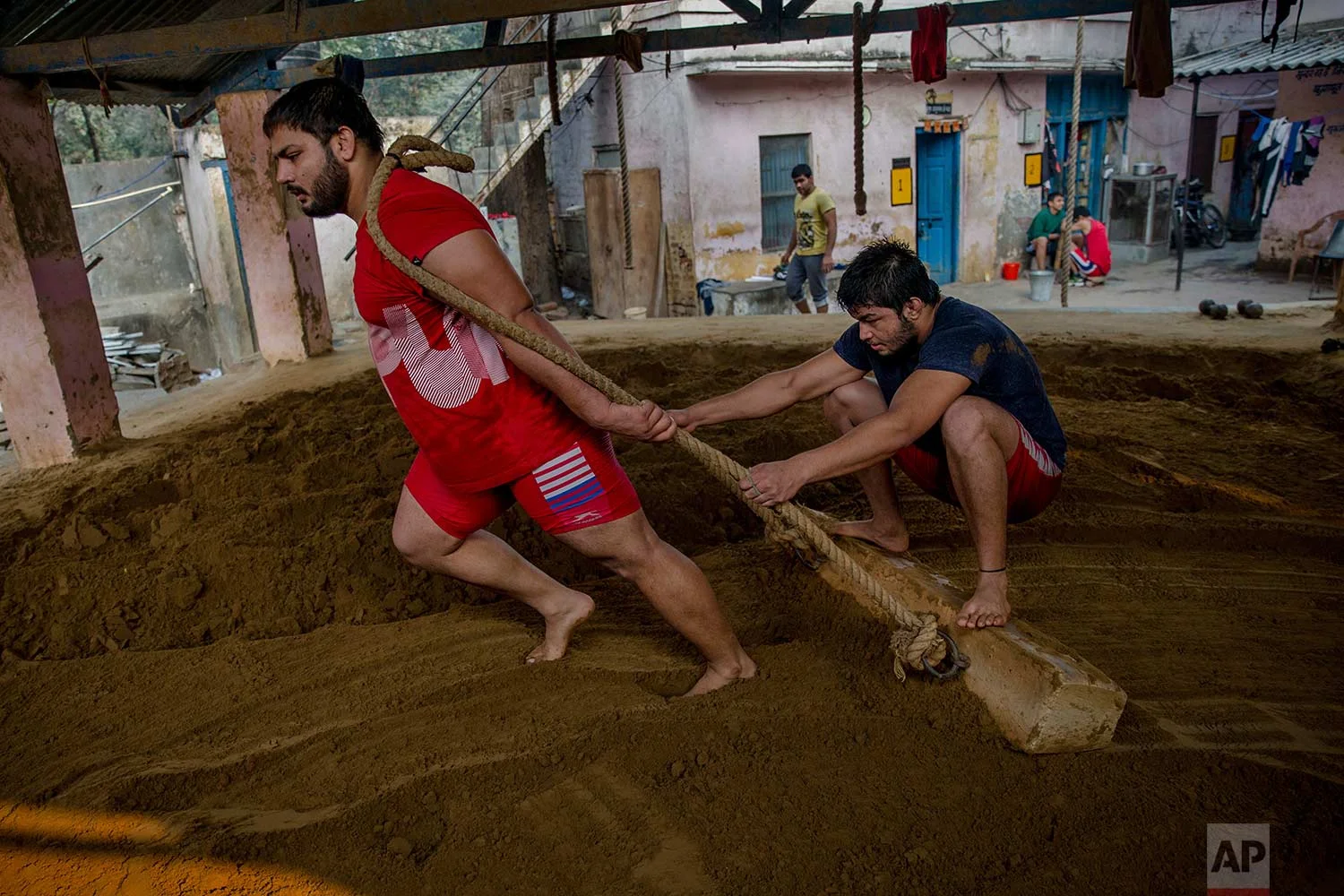 In this Nov. 20, 2017 photo, Indian kushti wrestlers prepare the ground in the ring for a training session, at Hanuman Akhada, one of India's oldest akhada at Sabzi Mandi, in New Delhi, India. (AP Photo/Dar Yasin)