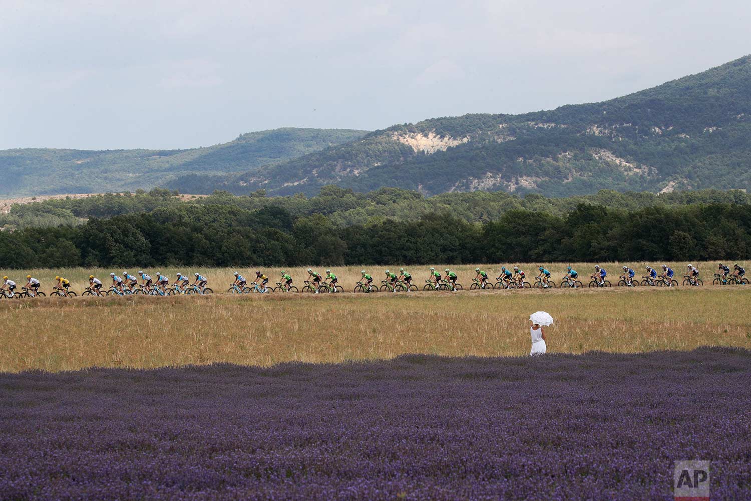  In this Friday, July 21, 2017 photo, a woman with an umbrella stands next to a lavender field as she watches the riders pass during the nineteenth stage of the Tour de France cycling race over 222.5 kilometers (138.3 miles) with start in Embrun and 