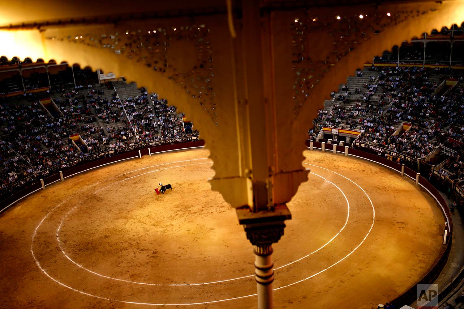  In this Tuesday, May 16, 2017 photo, Spanish bullfighter Roman Collado performs with a Lagunajanda ranch fighting bull during a bullfight at the Las Ventas bullring in Madrid, Spain. (AP Photo/Francisco Seco) 