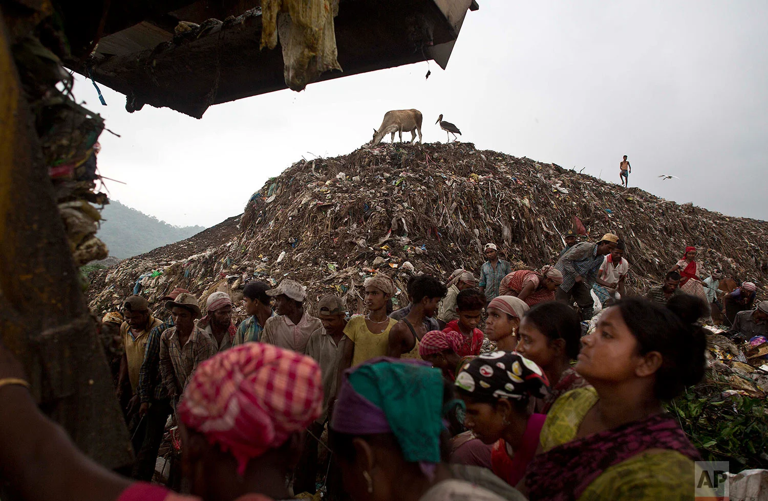 Indian ragpickers wait to collect recyclable materials as a truck prepares to unload garbage at a garbage dumping site on the outskirts of Gauhati, Assam state, India, Monday, June 5, 2017. Monday marks World Environment Day. (AP Photo/Anupam Nath)