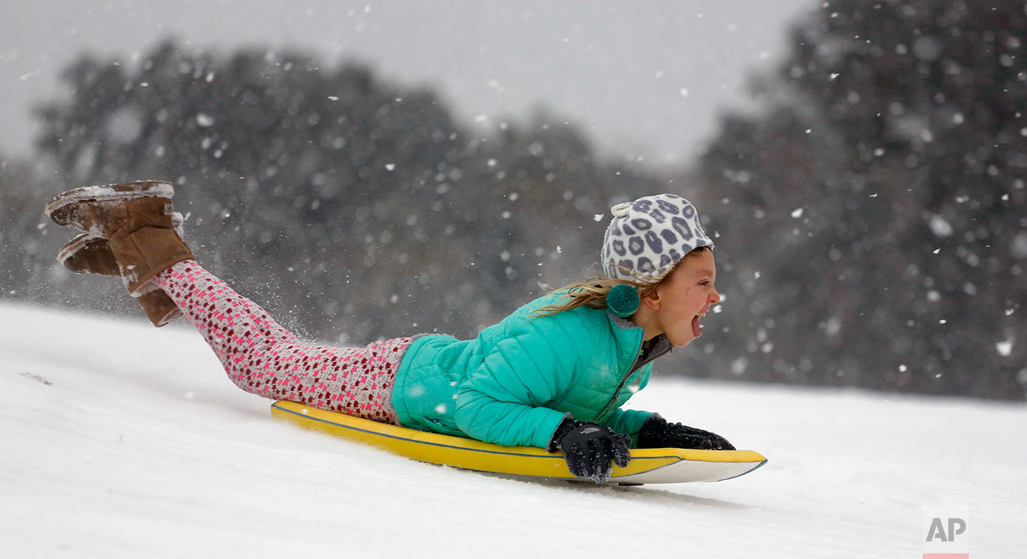 Deep Freeze South Carolina