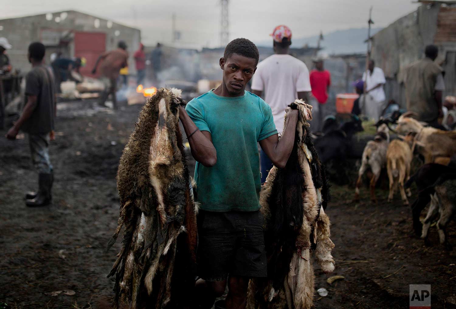 In this Nov. 9, 2017 photo published on Dec. 5, goat skinner Sonson Pierre hauls goat pelts at the La Saline slaughterhouse, in Port-au-Prince, Haiti. The 28-year-old, who has worked at the open-air market for 12 years, is dismayed that a market which provides meat to most of the capital's supermarkets and restaurant, is so unregulated. (AP Photo/Dieu Nalio Chery)