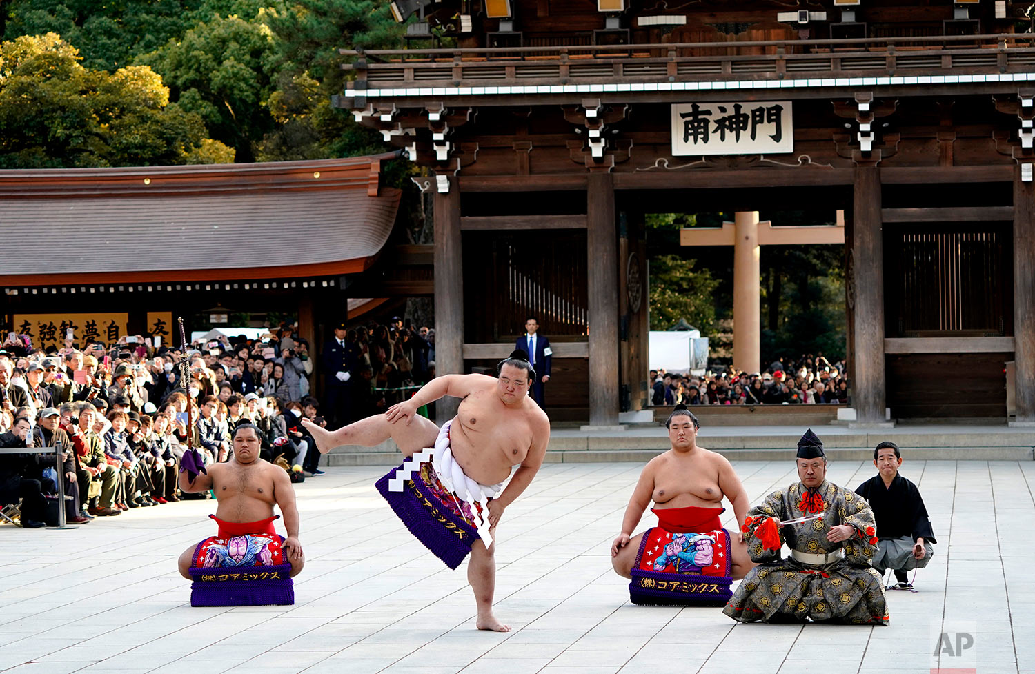 Japan Sumo New Year