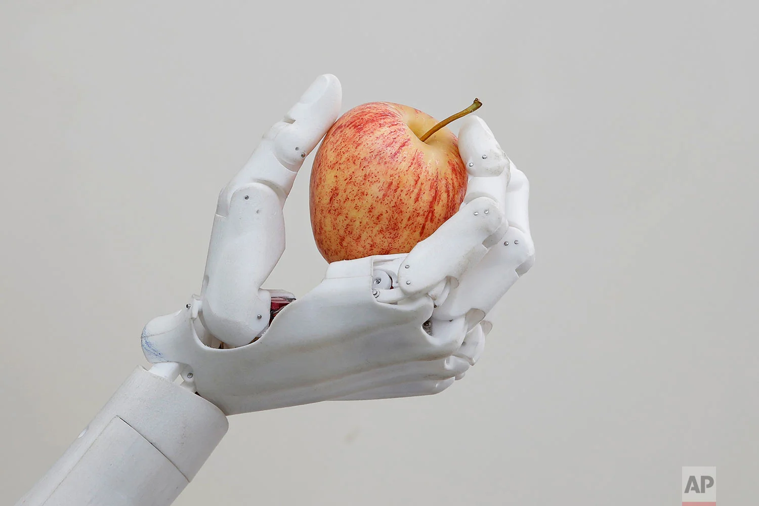 In this Sept. 28, 2017, photo, Hanson Robotics' flagship robot Sophia, a lifelike robot powered by artificial intelligence, holds an apple in Hong Kong. (AP Photo/Kin Cheung) | See these photos on AP Images