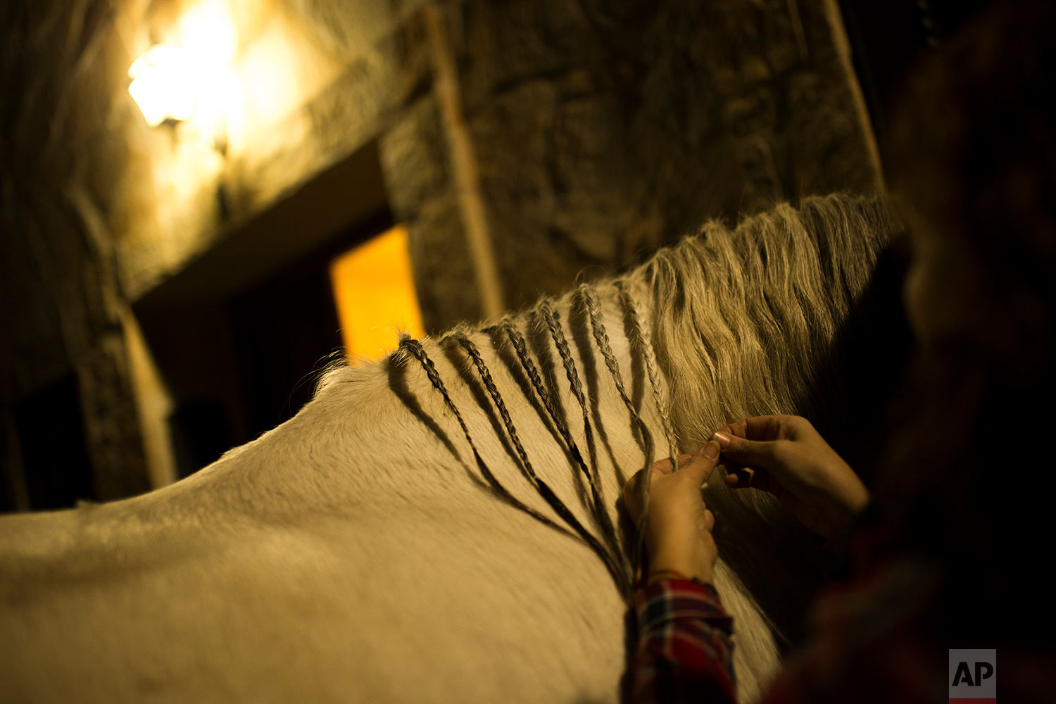  A woman braids the hair of a horse before the ritual in honor of Saint Anthony the Abbot, the patron saint of animals, in San Bartolome de Pinares, Spain, Tuesday, Jan. 16, 2018. (AP Photo/Francisco Seco)&nbsp;|&nbsp; See these photos on AP Images  