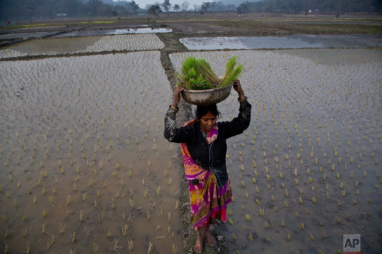 India Economy