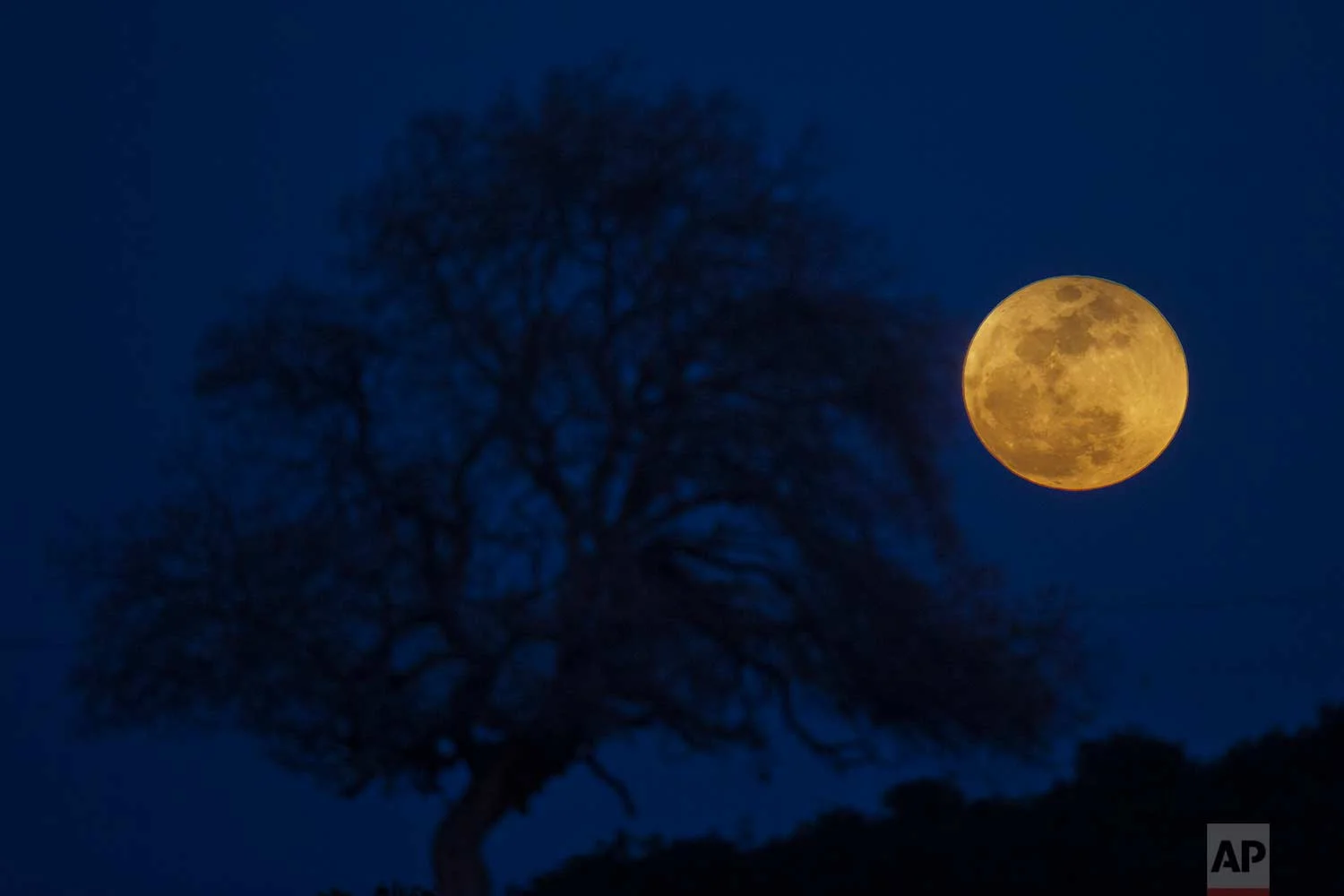 A super blue blood moon rises over Michmoret, Israel, Wednesday, Jan. 31, 2018. On Wednesday, much of the world will get to see not only a blue moon which is a supermoon, but also a lunar eclipse, all rolled into one celestial phenomenon. (AP Photo/Ariel Schalit)