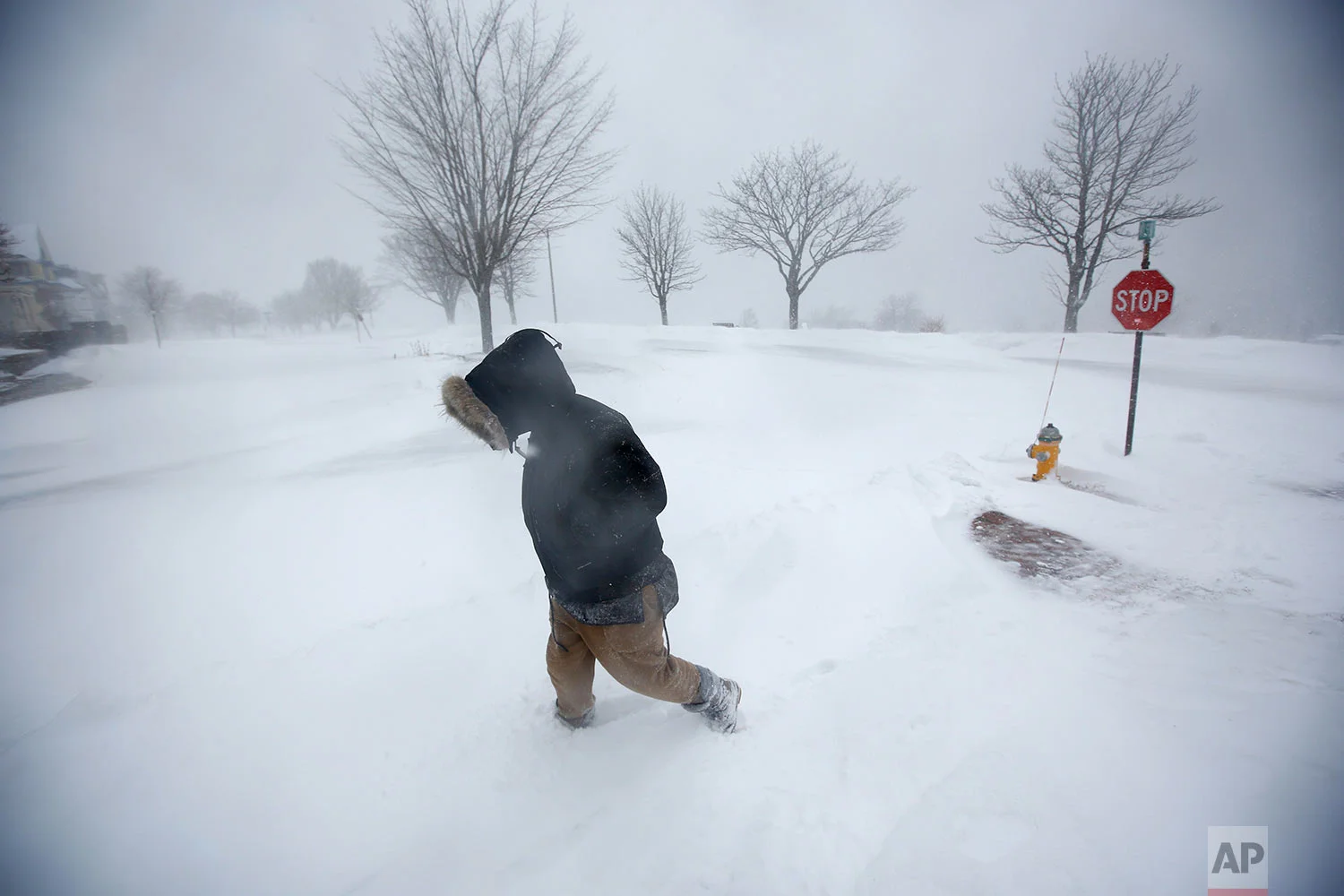 Northeast Storm Maine