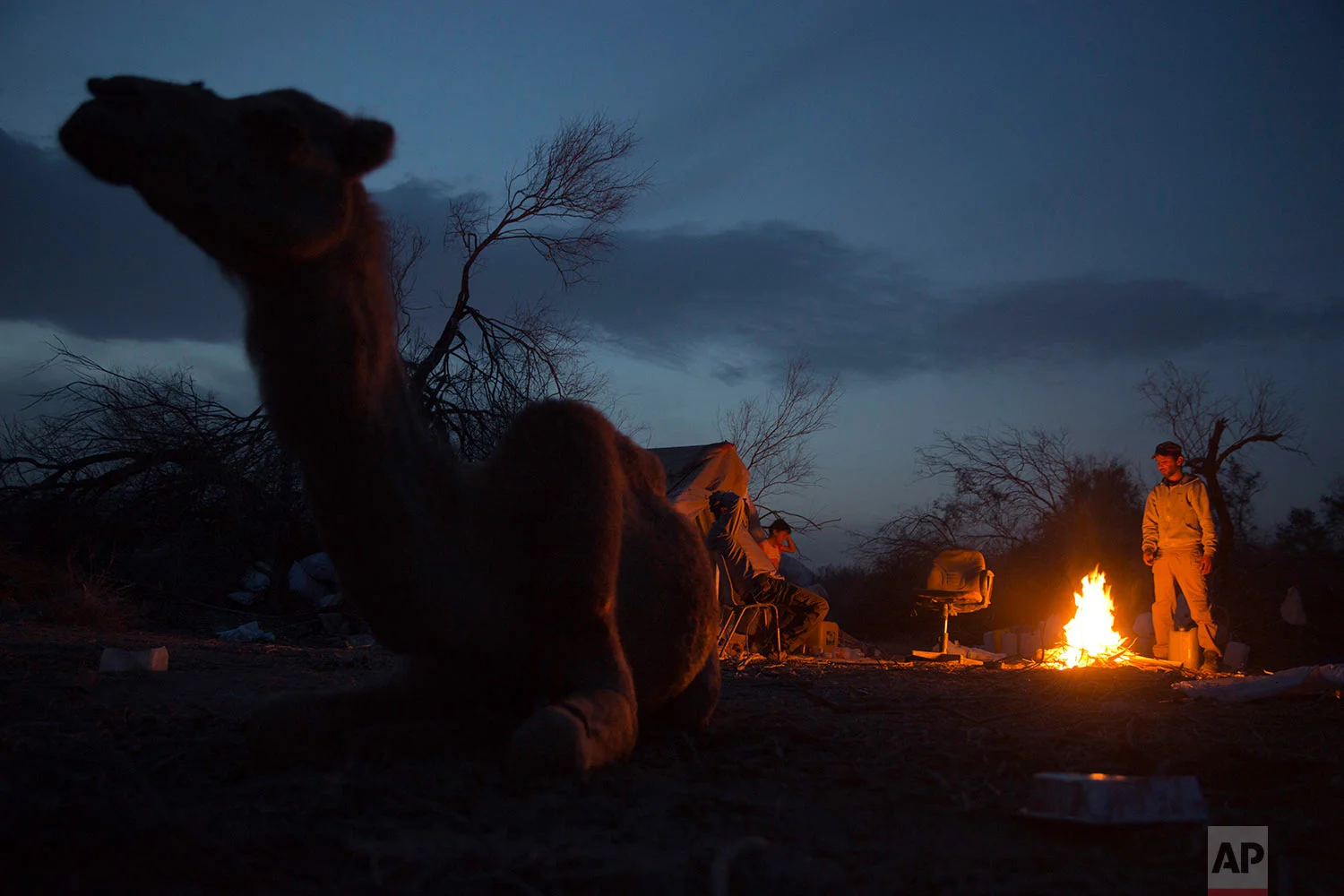 In this Friday, Feb. 9, 2018 photo, Beduin camels herders sit around fire at the night camp after herd all day in the open field at the territory of Israeli Kibbutz Kalya, near the Dead Sea in the West Bank. (AP Photo/Oded Balilty)