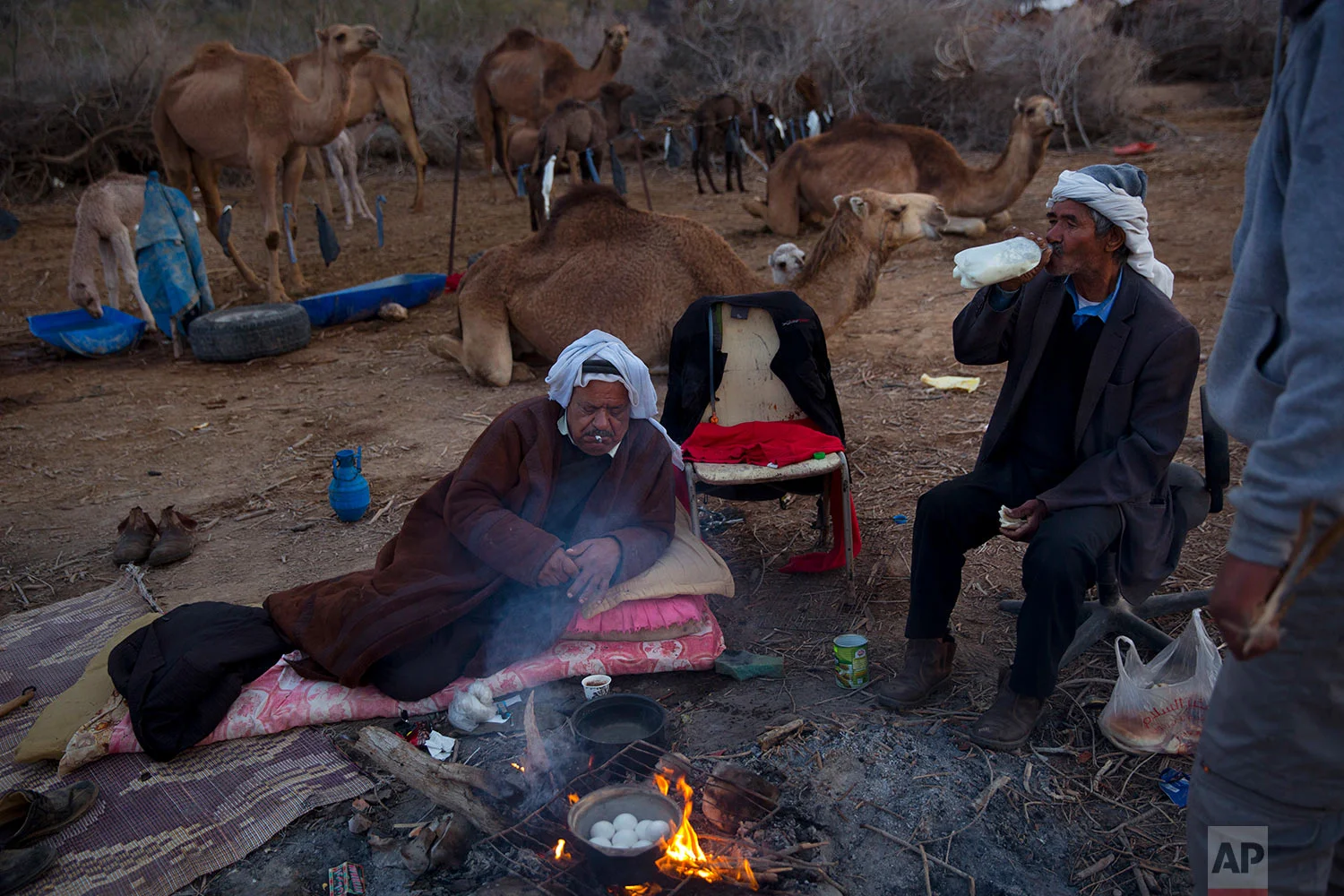 In this Saturday, Feb. 10, 2018 photo, Beduin camels owner Ali El Guran, left, and his camels herder Salem Rashaideh, have their breakfast at the night camp at the territory of Israeli Kibbutz Kalya, near the Dead Sea in the West Bank. (AP Photo/Oded Balilty)