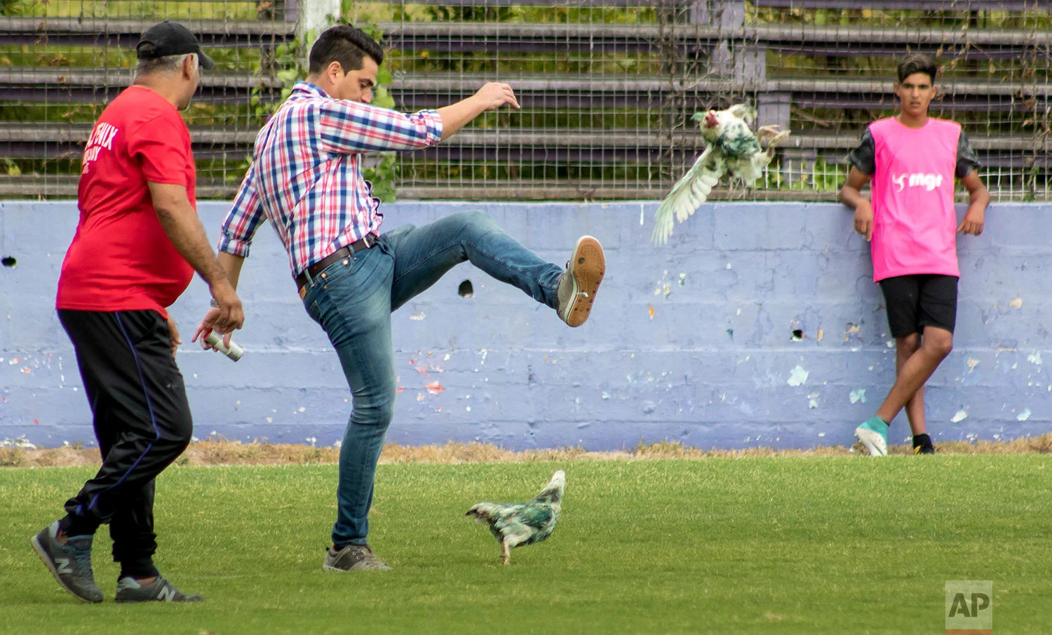Fenix first-division club director Gaston Alegari kicks a hen after supporters from his club threw two chickens painted in white and green, the colors of the opponents Racing, on to the field during their league soccer match, in Montevideo, Uruguay, Sunday, March 11, 2018. Uruguay’s soccer association decided that Fenix will have to play one match away from their home stadium because of the incident. (AP Photo/Mauricio Castillo)