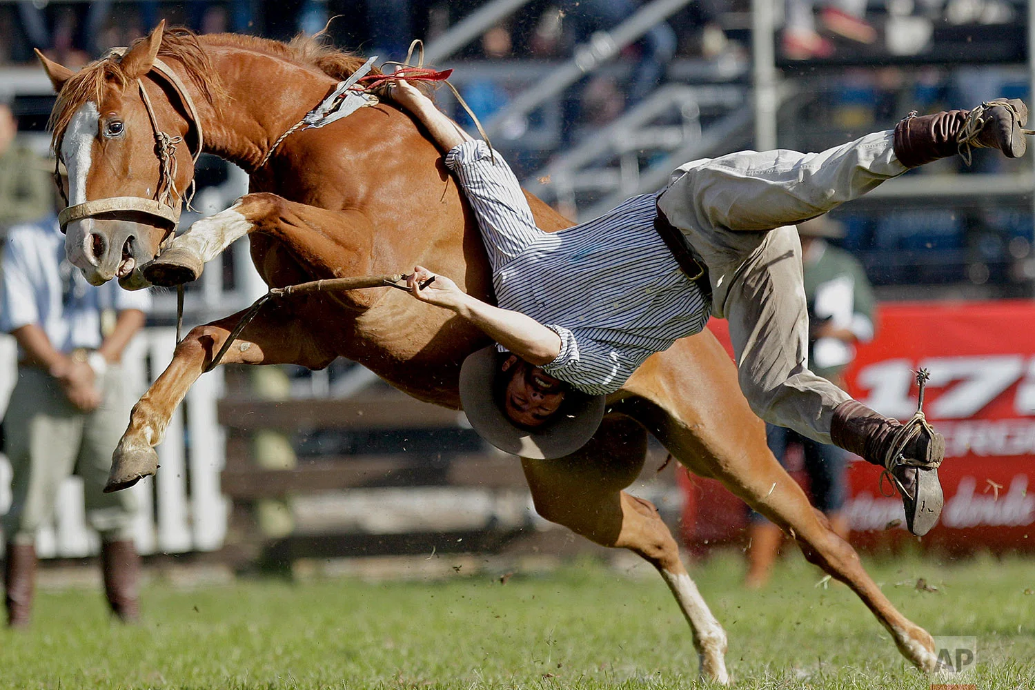 A gaucho is thrown off a wild horse during the "Criolla del Prado" rodeo during Easter Week in Montevideo, Uruguay, March 25, 2018. The traditional "jineteadas" have been a popular Holy Week tradition since 1925, and were named a national sport by Uruguayan lawmakers in 2006. (AP Photo/Matilde Campodonico)
