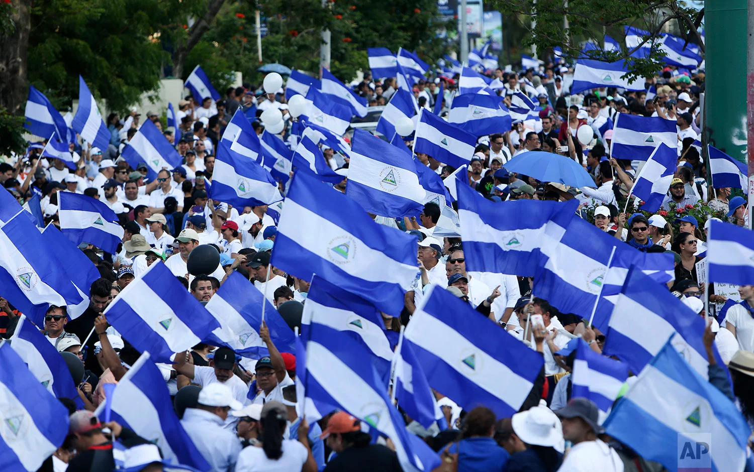 Demonstrators protesting government repression wave Nicaraguan flags in Managua, Nicaragua, Monday, April 23, 2018. People also marched to call for peace after several days of violent demonstrations set off by a social security overhaul. (AP Photo/Alfredo Zuniga)