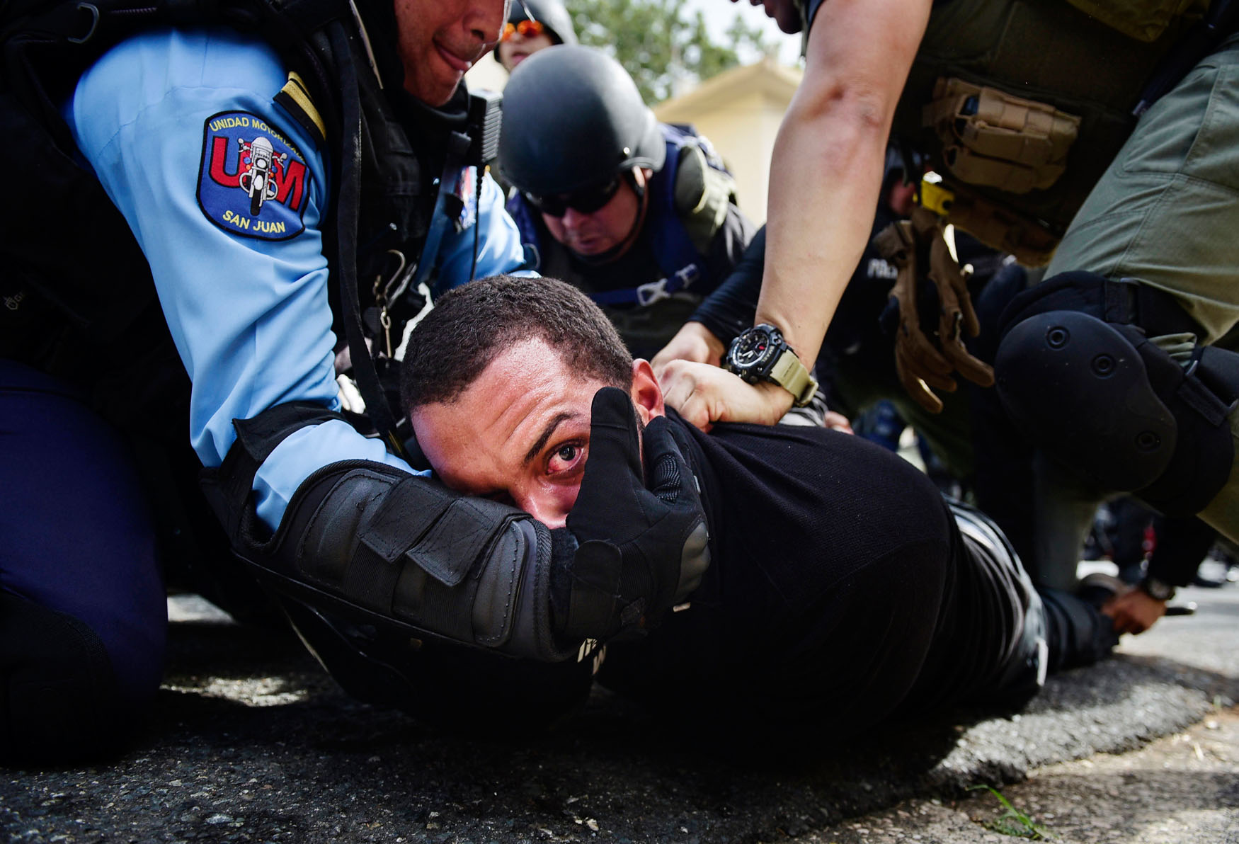 Pictures of the week