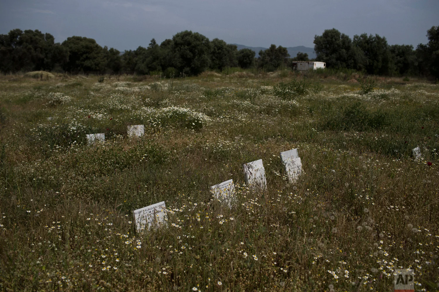 Tombstones marking the graves of migrants and refugees who drowned at sea while crossing from nearby Turkey are seen at a cemetery near the village Kato Tritos on the northeastern Aegean island of Lesbos, Greece on Saturday, May 5, 2018. (AP Photo/Petros Giannakouris)