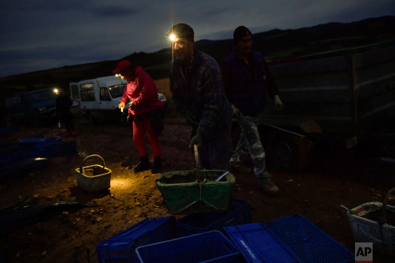 Seasonal workers collect white asparagus in Uterga, around 15 km (9 miles) from Pamplona, northern Spain on Saturday, June 2, 2018. (AP Photo/Alvaro Barrientos)