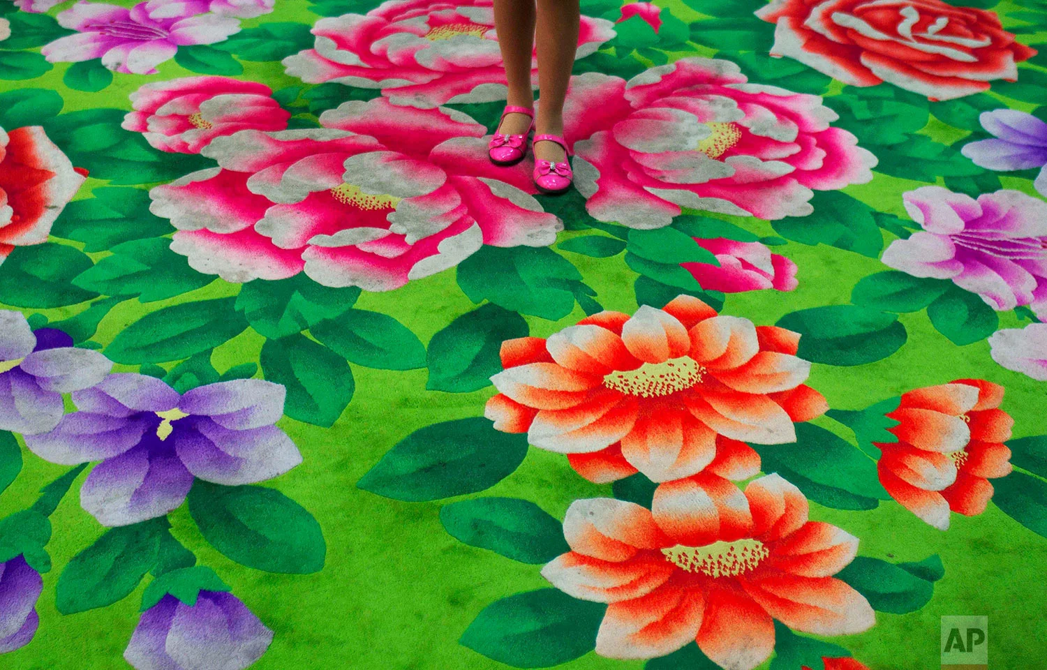 A young girl stands on floral-print carpet inside the Pyongyang Children's Palace in Pyongyang, North Korea, on April 14, 2011. The large facility teaches performance arts, fine arts, and sports as extracurricular classes to students in Pyongyang. (AP Photo/David Guttenfelder)