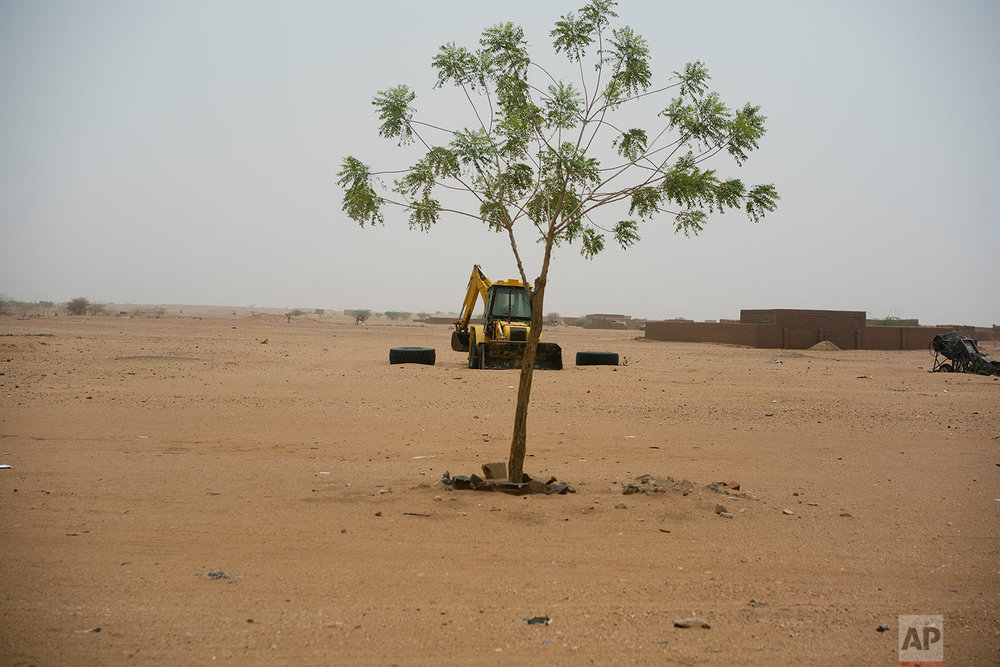  A lone tree grows in front of a road construction vehicle in Niger's Tenere desert region of the south central Sahara on May 30, 2018. (AP Photo/Jerome Delay) 
