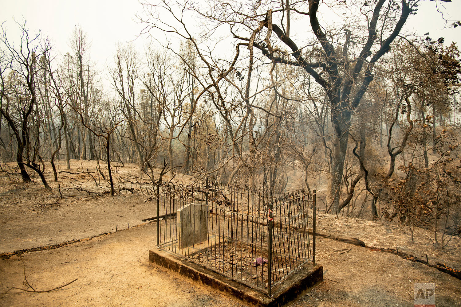  The historic Pioneer Baby's Grave rests among trees scorched by the Carr Fire in Shasta, Calif., on Friday, July 27, 2018. The fire rapidly expanded Thursday when erratic flames swept through the historic Gold Rush town of Shasta and nearby Keswick,