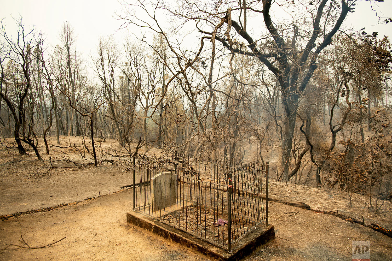 The historic Pioneer Baby's Grave rests among trees scorched by the Carr Fire in Shasta, Calif., on Friday, July 27, 2018. The fire rapidly expanded Thursday when erratic flames swept through the historic Gold Rush town of Shasta and nearby Keswick, then cast the Sacramento River in an orange glow as they jumped the banks into Redding. (AP Photo/Noah Berger)